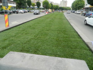 DSCN9792