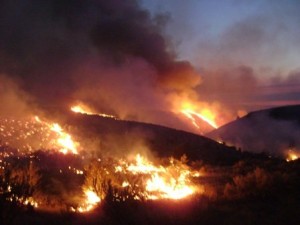 incendiu-sarulesti