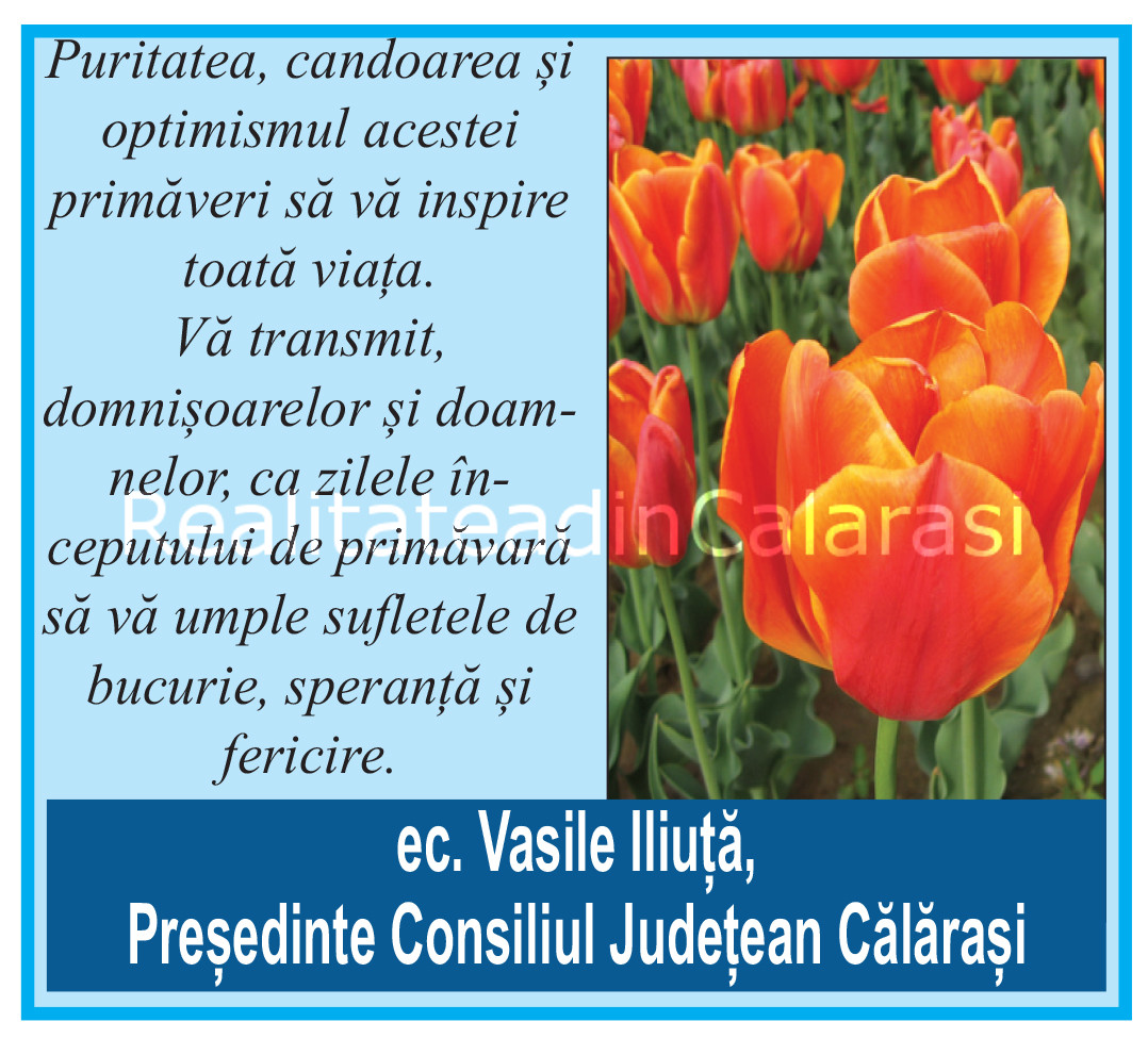 Realitatea_31_Layout 1