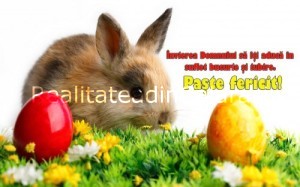 felicitari-de-paste-mesaje-frumoase-paste-3_95163900