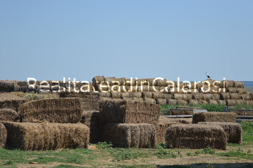 oi4