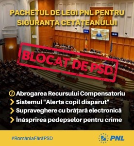 PNL are soluții pentru a apăra siguranța cetățeanului și ordinea publică