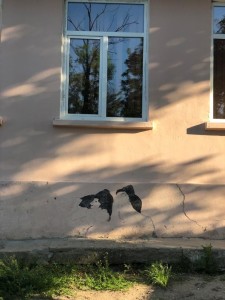 f4