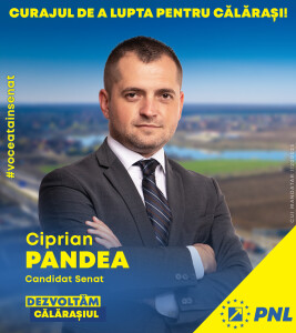 C02_Ciprian Pandea