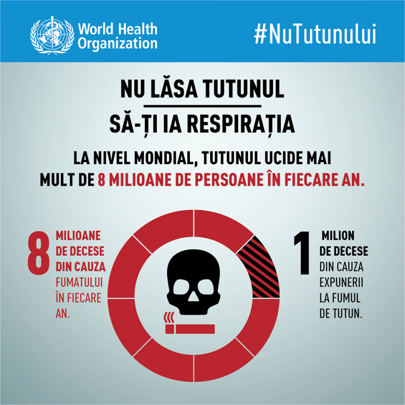 tutun1