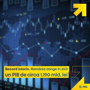 pnl