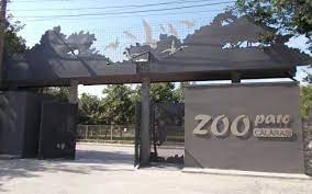 zoo