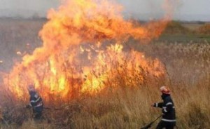 incendiu-vegetatie-uscata1