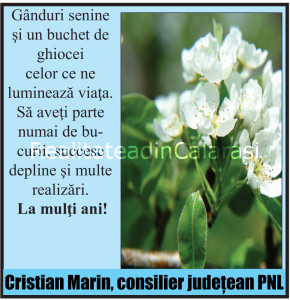 Realitatea_31_Layout 1