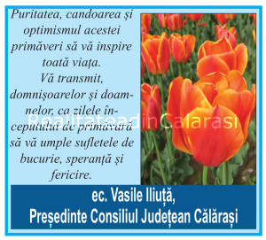 Realitatea_31_Layout 1