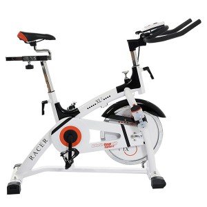 Bicicleta-Fitness-Ergometrica-XL-2_1_0x3000[1]