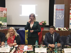 Revista Ferma1 (1)
