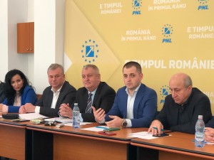 pnl ciprian pandea