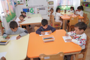 Activitati la gradi