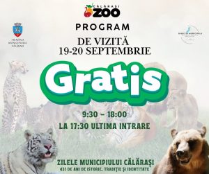 zoo