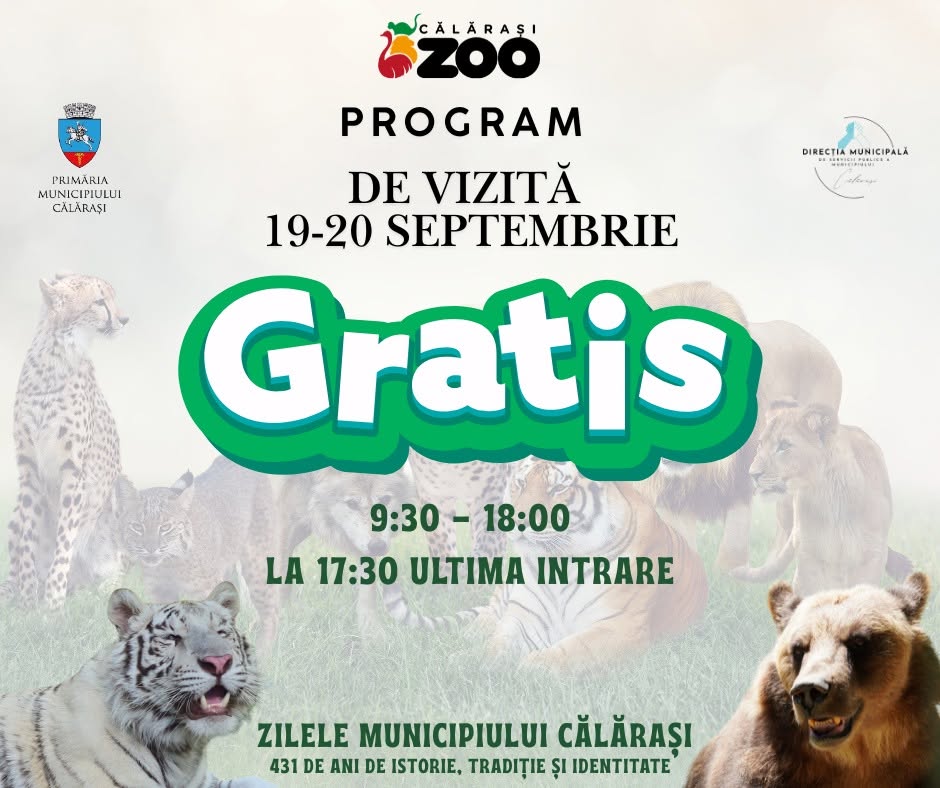 zoo